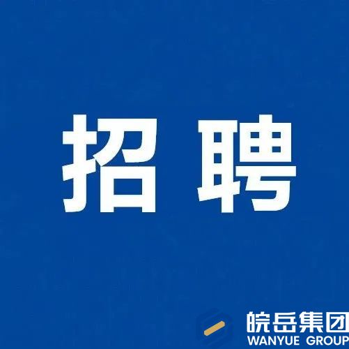 2022年安徽皖岳投资集团有限公司面向社会招聘工作人员公告