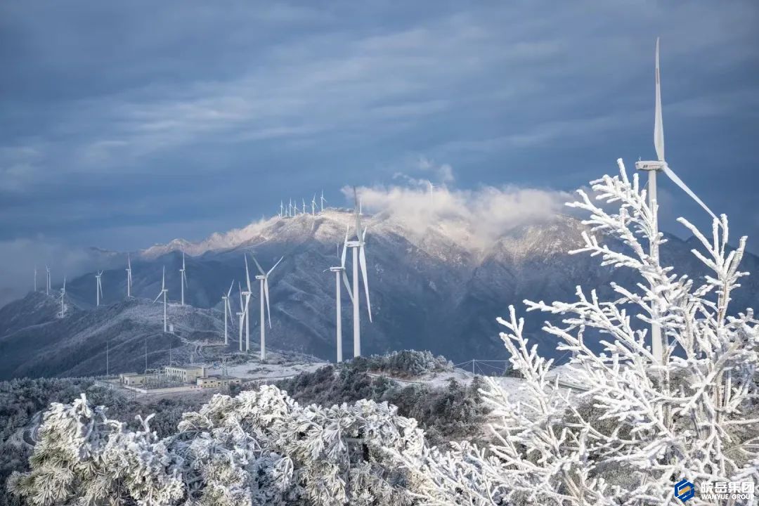 牛草山 ：雪舞银冬景色美